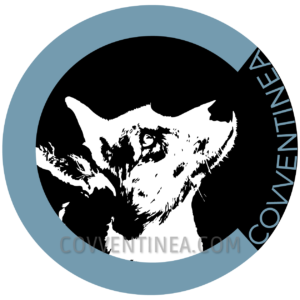 Logo Covventinea contact
